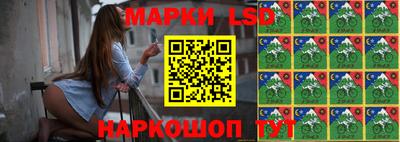 гашик Гатчина