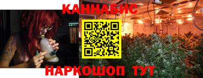 гашик Гатчина