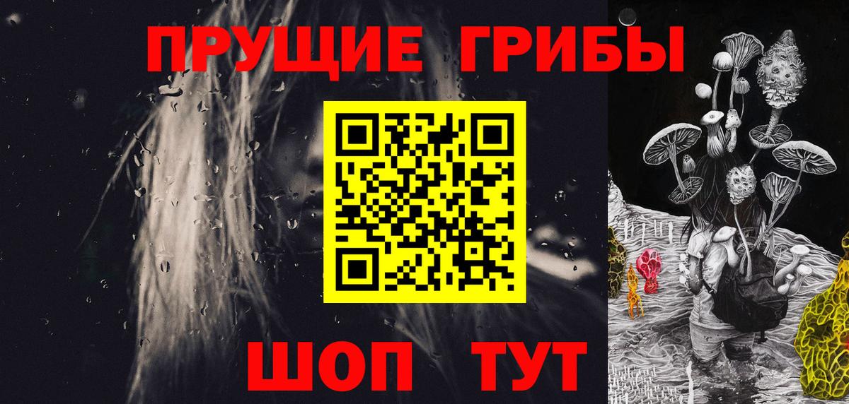 Малгобек  Псилоцибиновые грибы Psilocybe  Псилоцибиновые грибы Magic Shrooms  Вход с VPN 