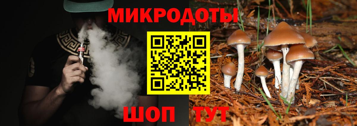 Галлюциногенные грибы Magic Shrooms Малгобек